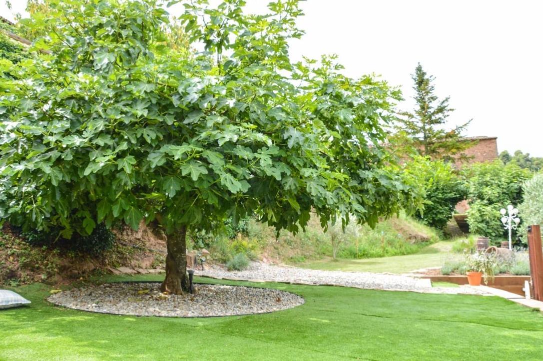 Cal Secretari Villa Rellinars Ngoại thất bức ảnh